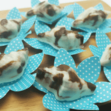 Sea Shell Chocolate Mould in 3 Parts BWB 9636 - Naira Cake Supplies