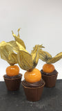 Liquor Shot Glass Chocolate Mould in 3-Part - BWB 1273 - Naira Cake Supplies