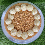 Cake Tin Swimming Pool - Naira Cake Supplies