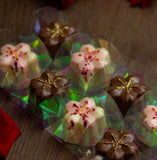 BWB 3610 Mini Sakura professional mould